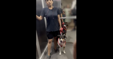 Couple where wife is pregnant requests this woman to mask her dog inside the lift