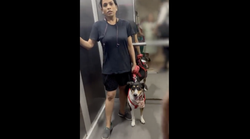 Couple where wife is pregnant requests this woman to mask her dog inside the lift