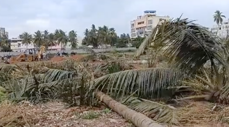 pawan kalyan says even trees are crying under ysrcp rule