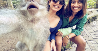 samantha shades are stolen by a monkey in bali