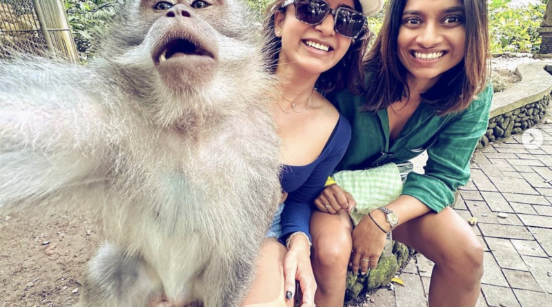 samantha shades are stolen by a monkey in bali