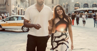 varun tej lavanya tripathi marriage is going to be in november