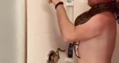 a man takes bath with snakes in his bathroom