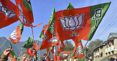 bjp will not go for early elections