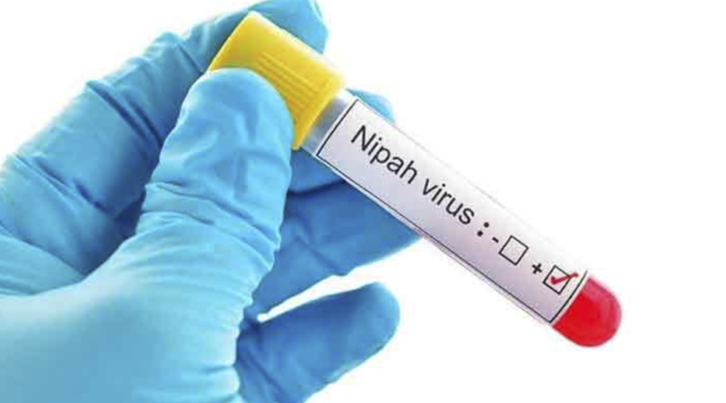 nipah virus cases in kerala again