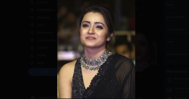 trisha getting married to Malayalam producer