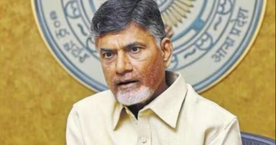 did chandrababu naidu requested his wife to bring mosquito bat