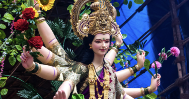 do not do these things during navratri festival