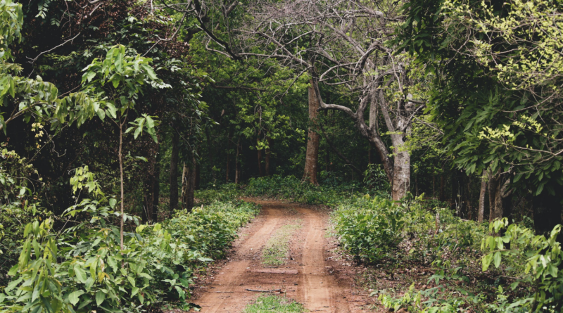 This Jharkhand Valley experiences a time and year advancement of two years