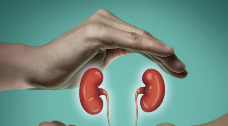 air pollution leads to kidney damage