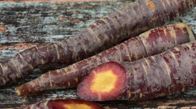 all you ned to know about Black Carrots