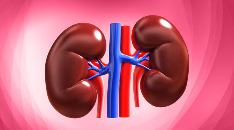 kidneys will thank you if you eat these foods