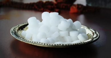 vastu benefits of camphor