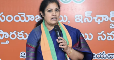 why daggubati purandeswari is scared of anaparthy seat