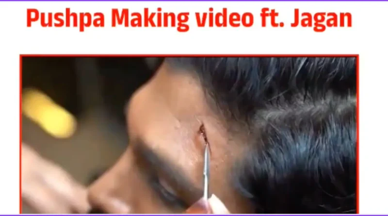 janasena shares pushpa making video which includes jagan