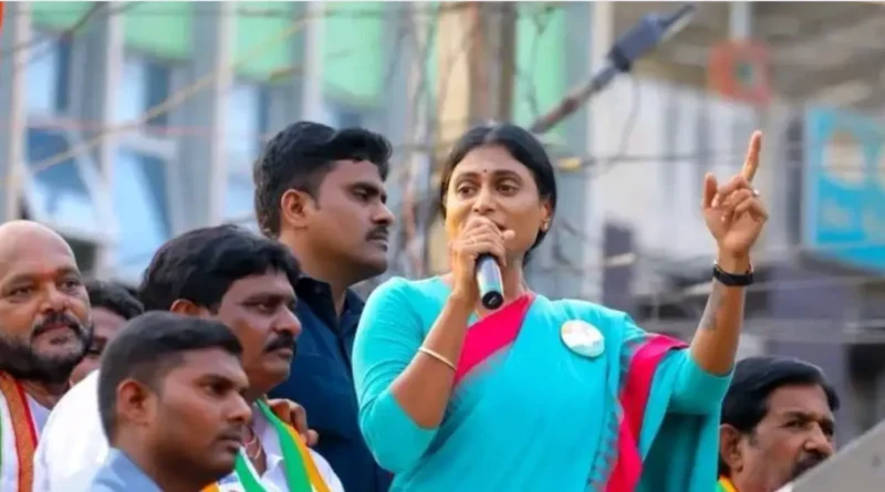 ys sharmila compares jagan's stone attack with viveka murder