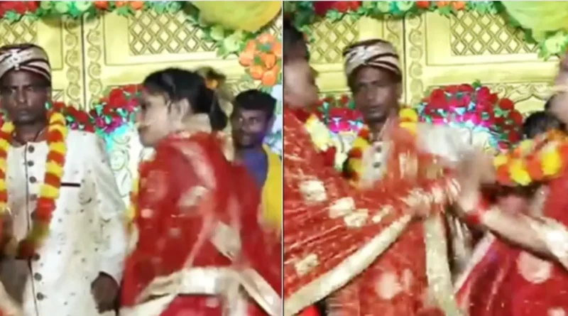 bride and girl friend fights for groom