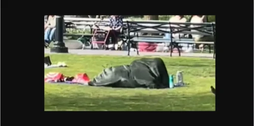 couple had sex at nyc park in front of kids