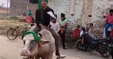 man rode buffalo for voting for the first time