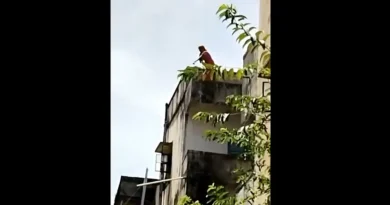 Woman tries to commit suicide in front of pawan kalyan camp office