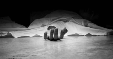 daughter in law kills mother in law for asking her to make tea