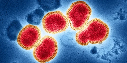 first H9N2 Virus case found in west bengal