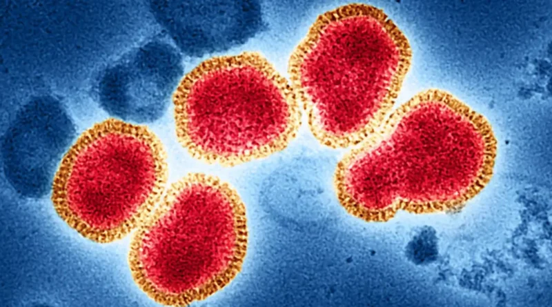 first H9N2 Virus case found in west bengal