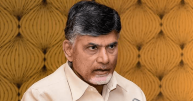 tdp to contest in local telangana elections