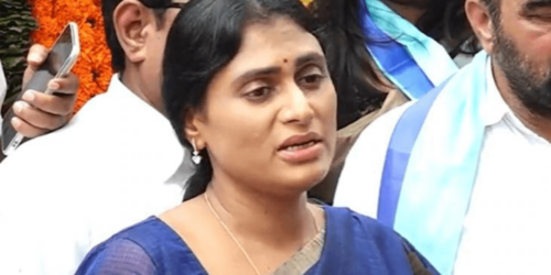 ys sharmila to lose deposit in kadapa