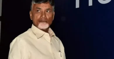 Chandrababu Naidu asks cadre not to do revenge politics