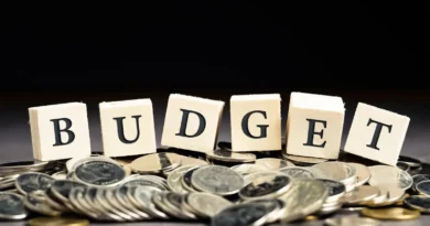 what to get cheaper and costlier in this budget