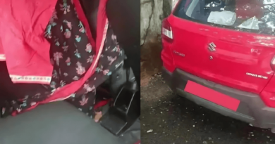 couple caught having sex in car