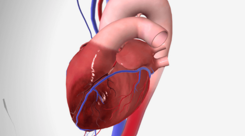 does constipation leads to heart failure