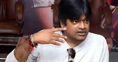 harish shankar reacts on pawan kalyan commenting on pushpa film