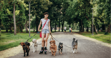 a dog walker earns up to 80k per month