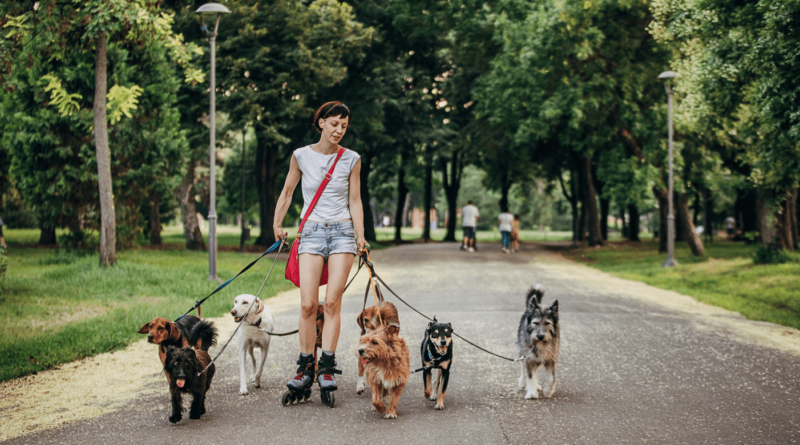 a dog walker earns up to 80k per month