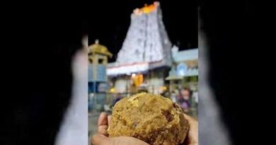 ar dairy reacts on tirumala laddoo