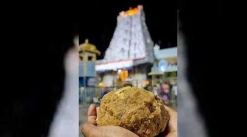 ar dairy reacts on tirumala laddoo