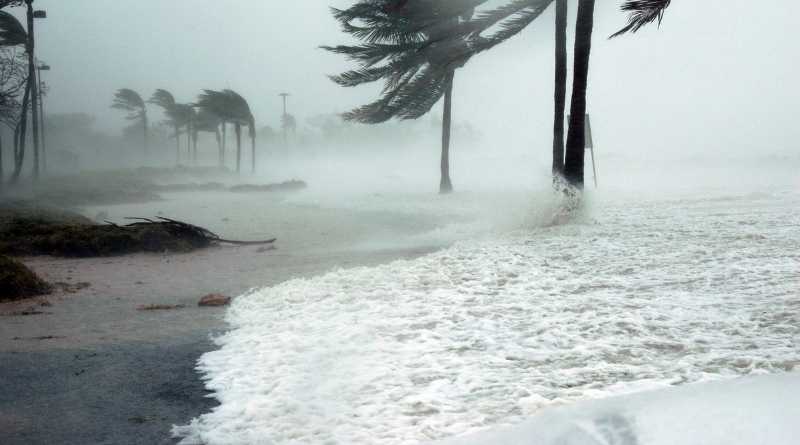 ceo left workers in hurricane